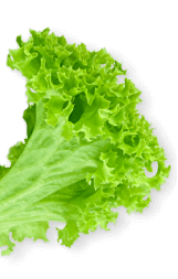  La Capanna Livingston shape